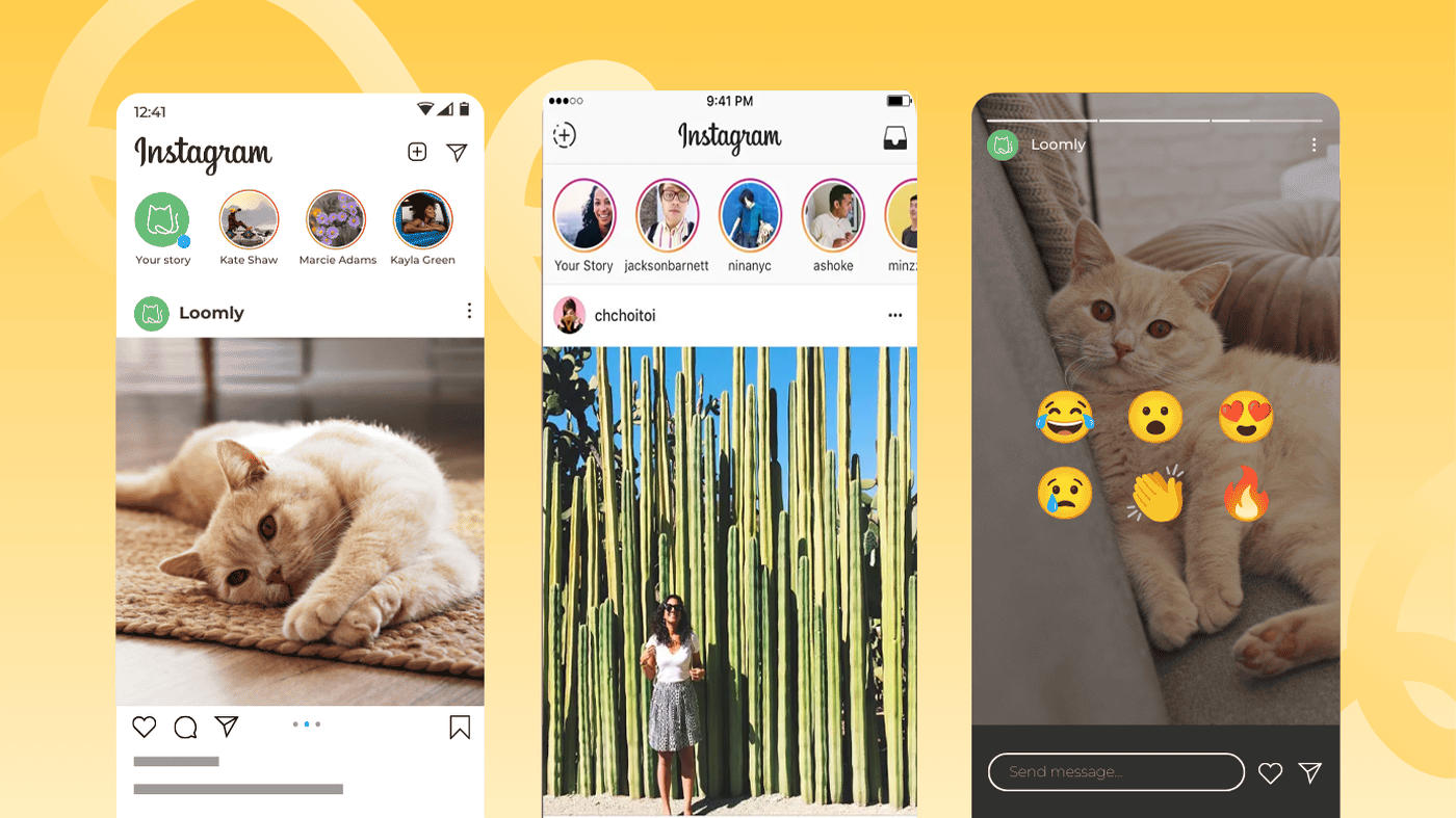 Three screenshots of Instagram: a feed with a cat photo, a Stories bar, and an Instagram Story featuring a cat with emoji reaction options on the right, capturing insights into how Instagram Story Views appear to users.